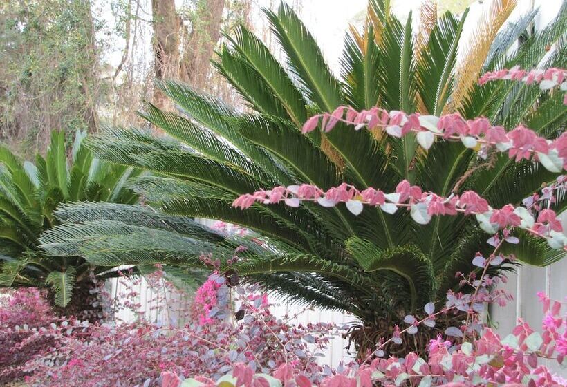 Hotel Howard Johnson By Wyndham Tallahassee