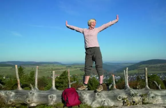 Wald Hotel Willingen