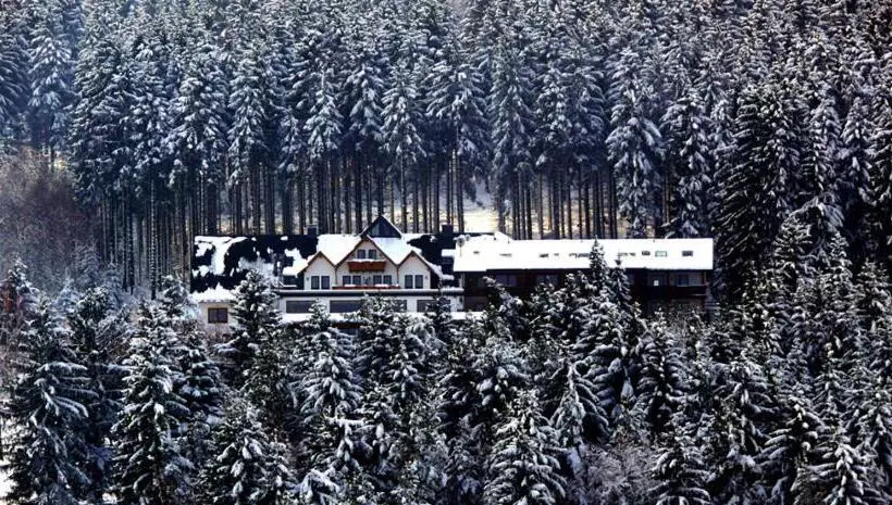 Wald Hotel Willingen