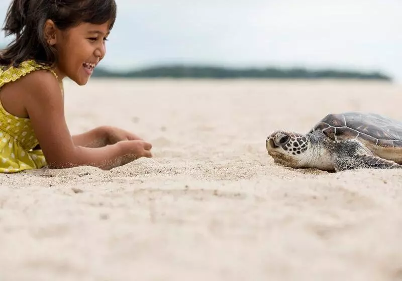 Hotel Angsana Laguna Phuket