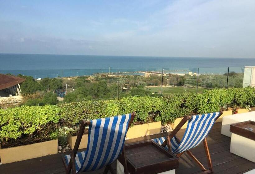 Melody Hotel   An Atlas Boutique