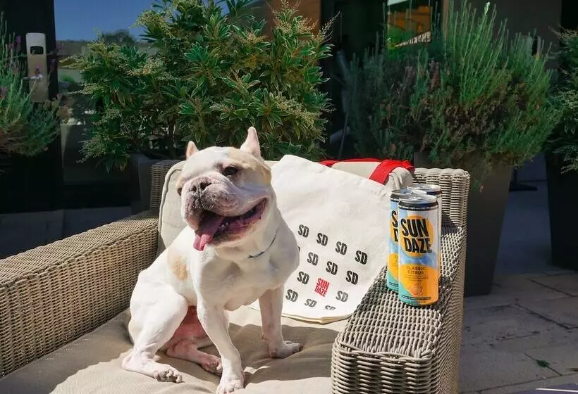 The Nest Hotel Palo Alto