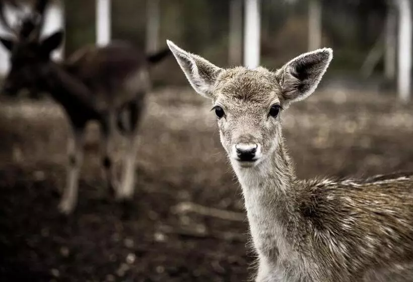 Curia Palace Hotel & Spa