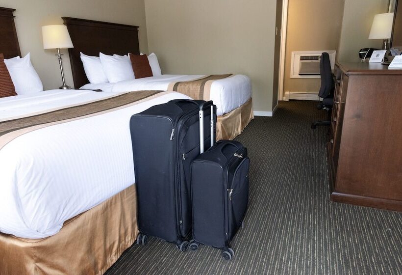 Szálloda Aurora Inn