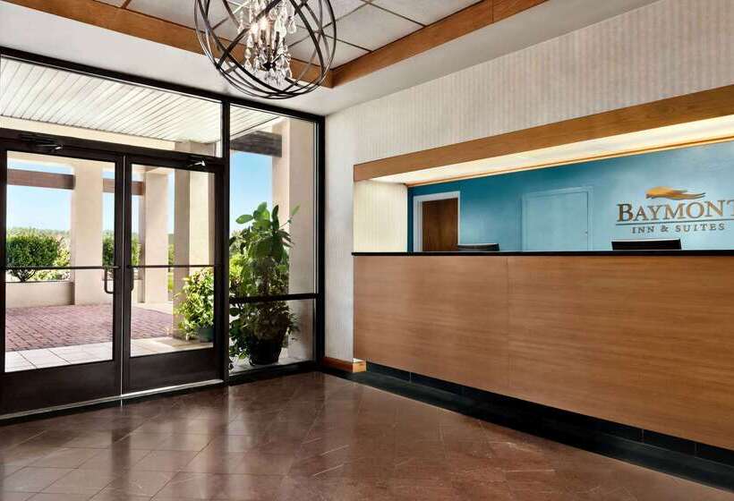 酒店 Comfort Inn & Suites