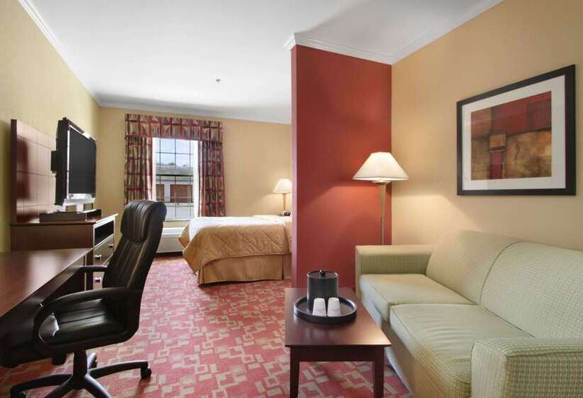 酒店 Comfort Inn & Suites