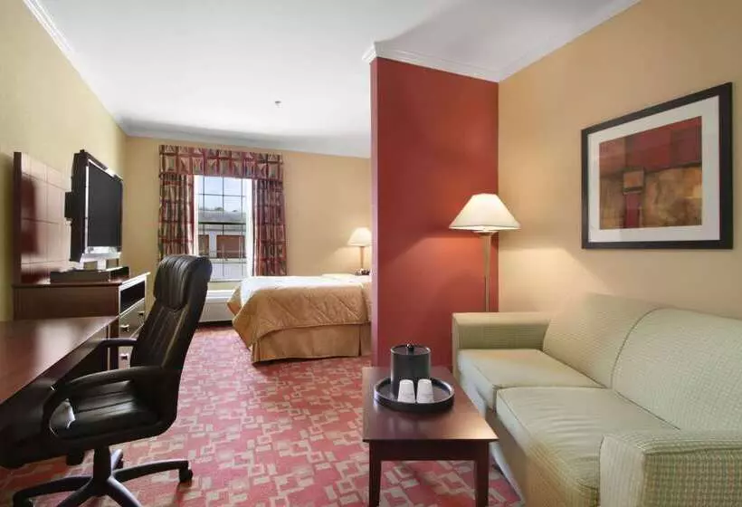 هتل Comfort Inn & Suites