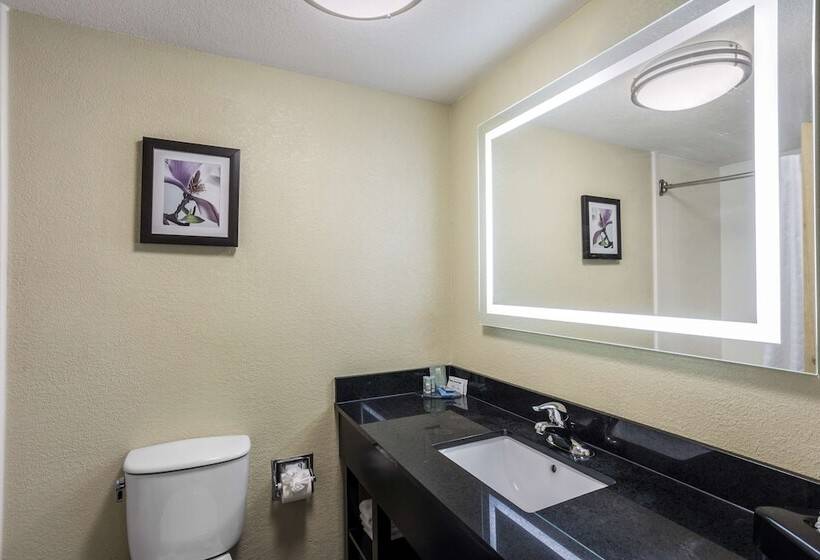 酒店 Best Western Harrisburg North