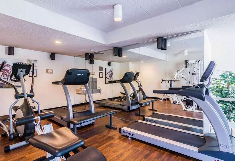 Hotel Comfort Inn At Joint Base Andrews