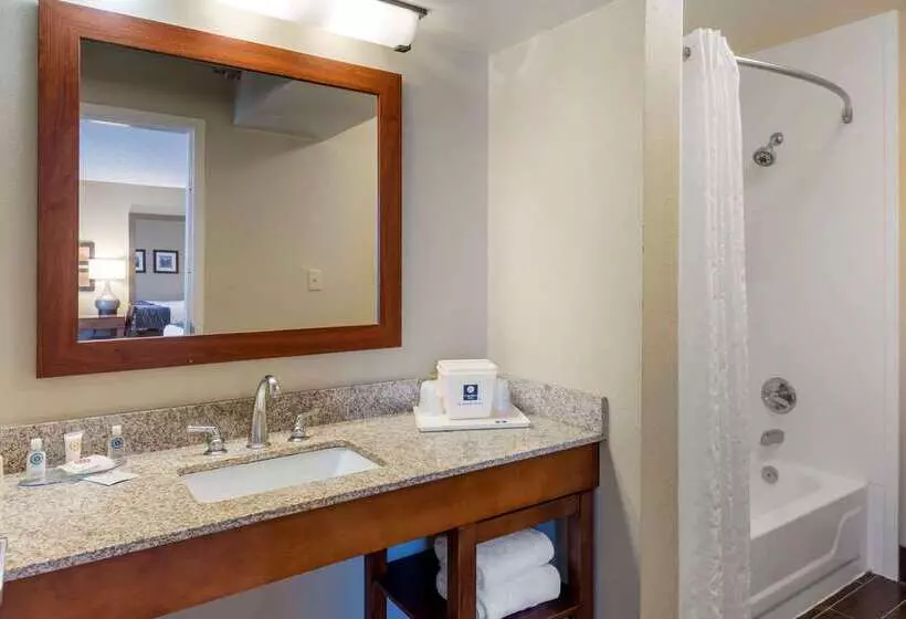 ホテル Comfort Inn Elizabeth City Near University