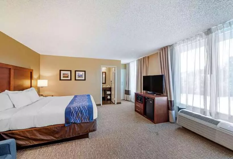 ホテル Comfort Inn Elizabeth City Near University