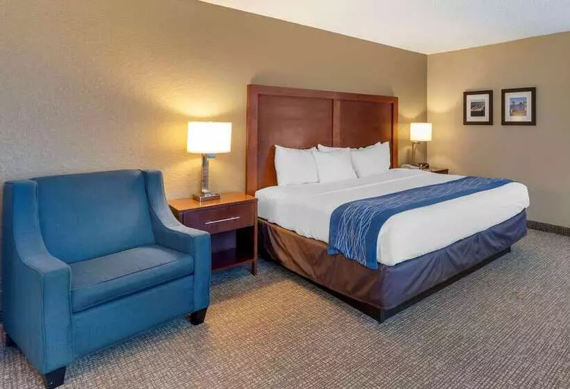 ホテル Comfort Inn Elizabeth City Near University