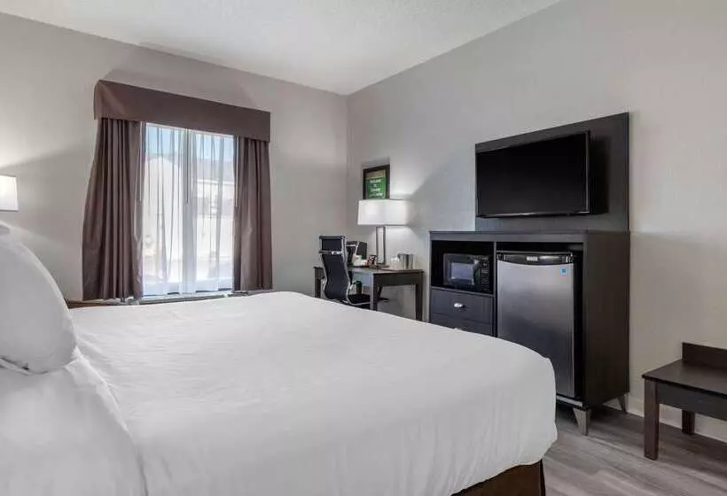 Hotel Econo Lodge At The University