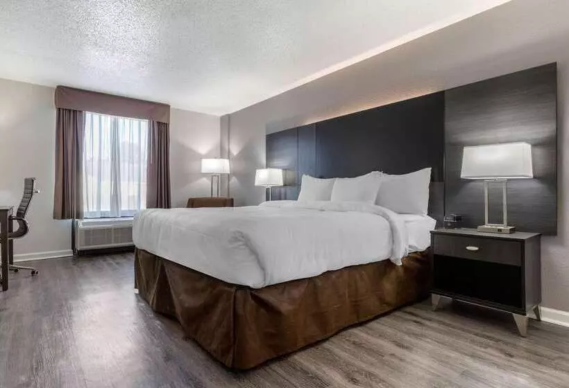 Hotel Econo Lodge At The University