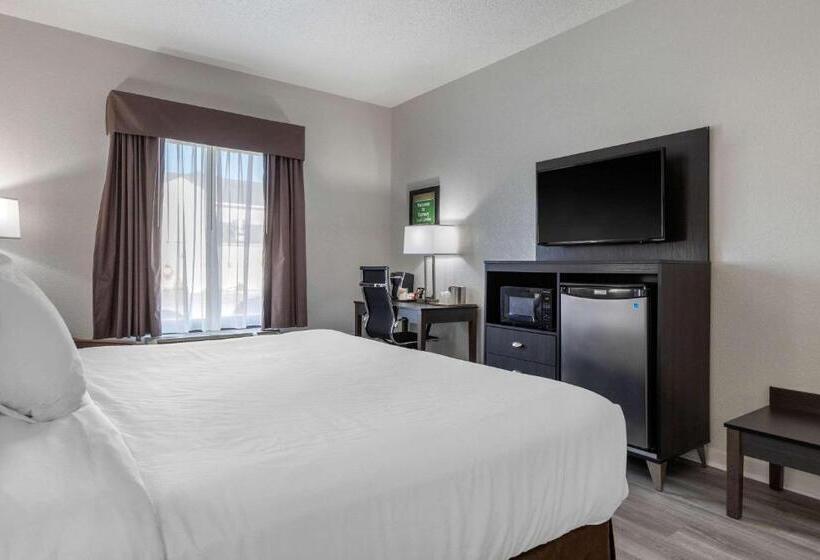 فندق Econo Lodge At The University