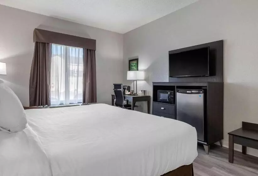 Hotel Econo Lodge At The University