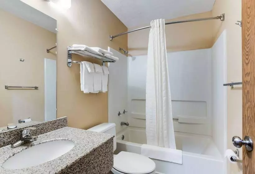 Hotel Econo Lodge Painted Post   Corning