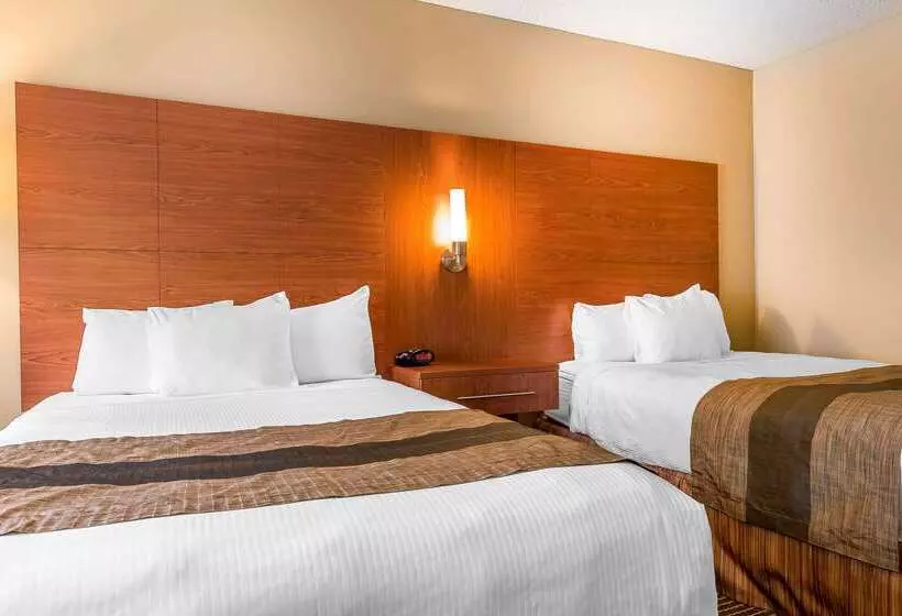 호텔 Quality Inn & Suites