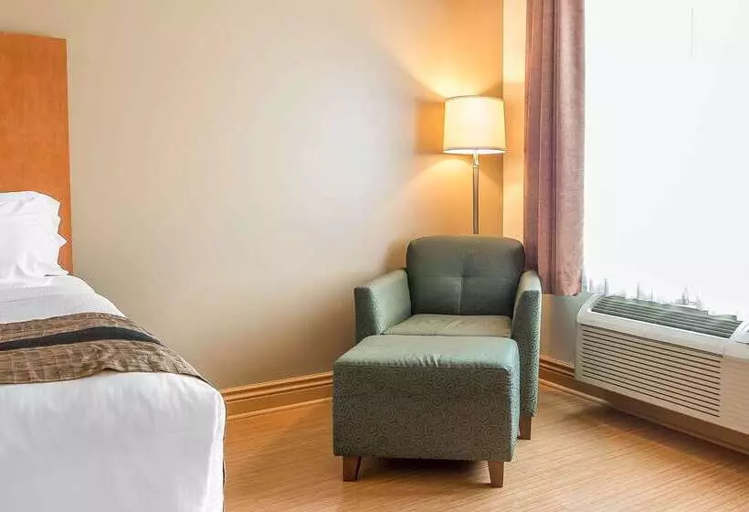 호텔 Quality Inn & Suites