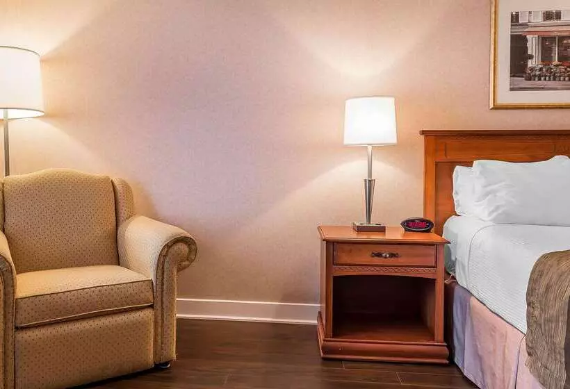 호텔 Quality Inn & Suites