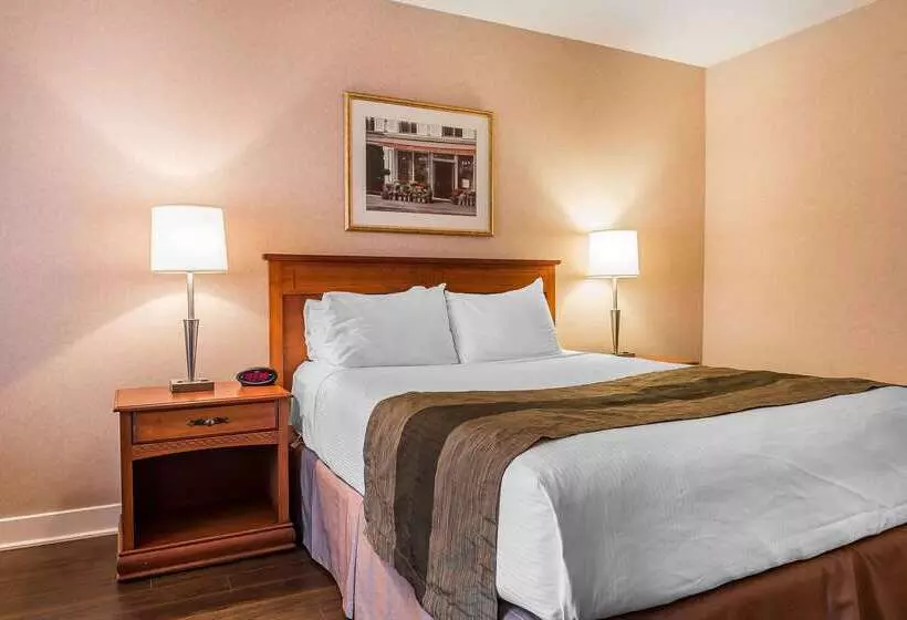 호텔 Quality Inn & Suites