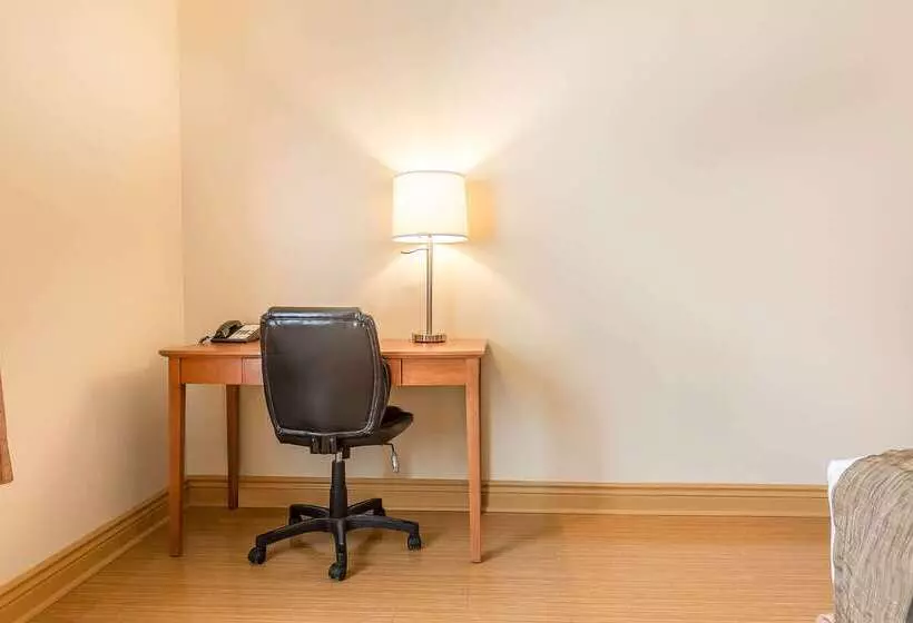 호텔 Quality Inn & Suites