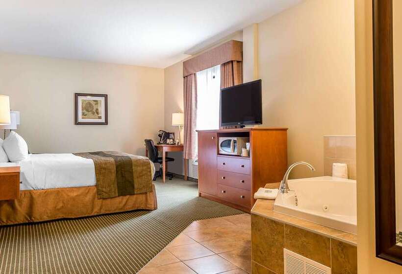 فندق Quality Inn & Suites