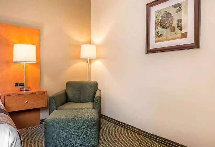 호텔 Quality Inn & Suites