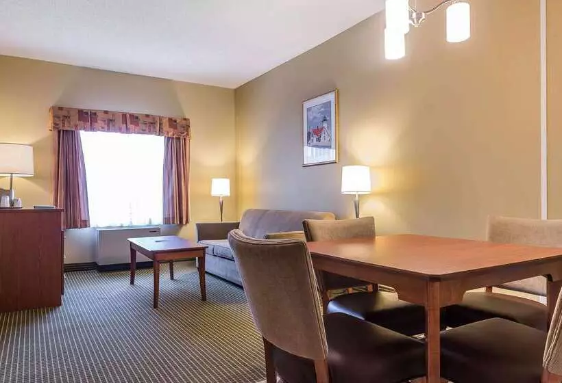 호텔 Quality Inn & Suites