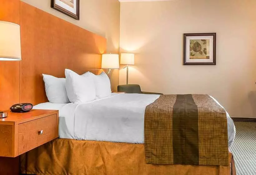 호텔 Quality Inn & Suites