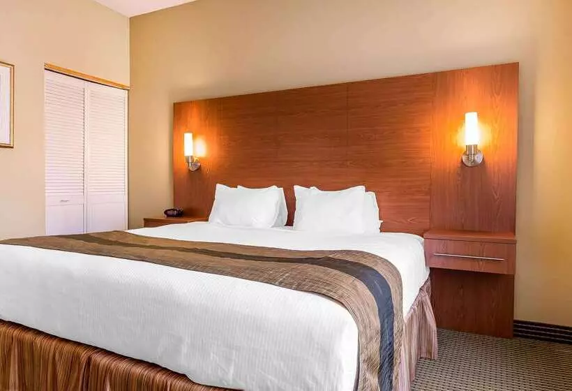 호텔 Quality Inn & Suites