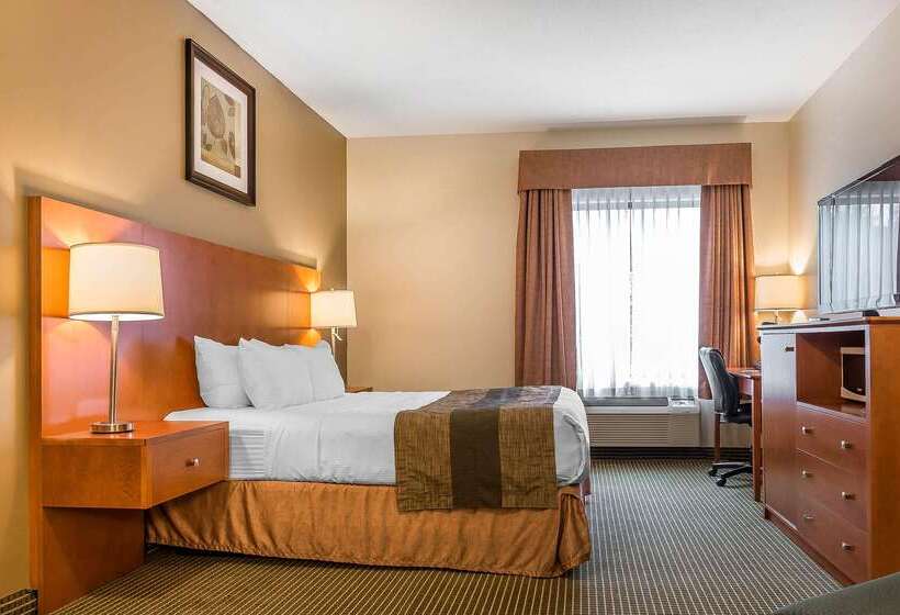 فندق Quality Inn & Suites