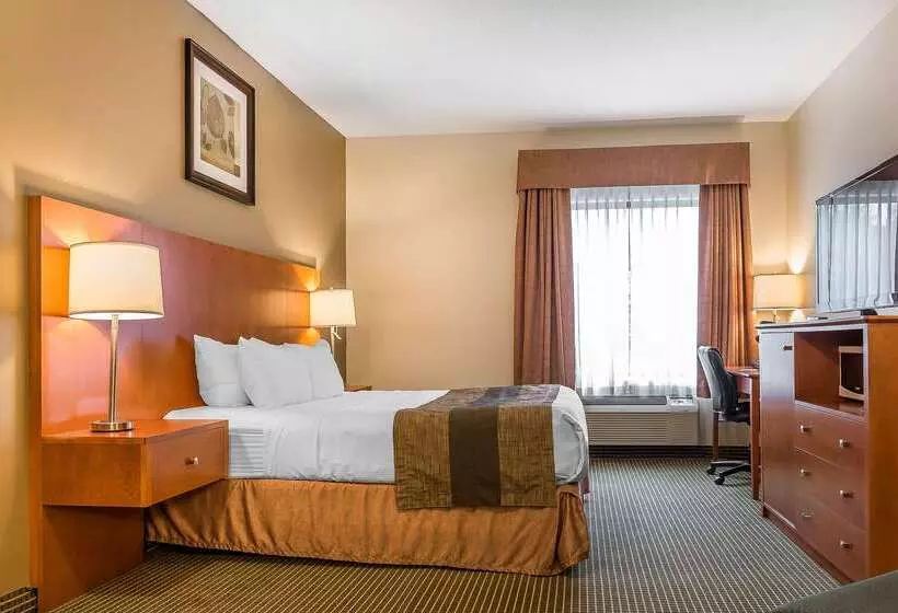 호텔 Quality Inn & Suites