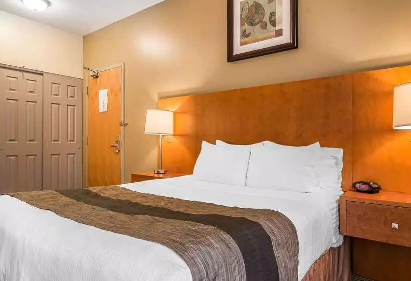 호텔 Quality Inn & Suites