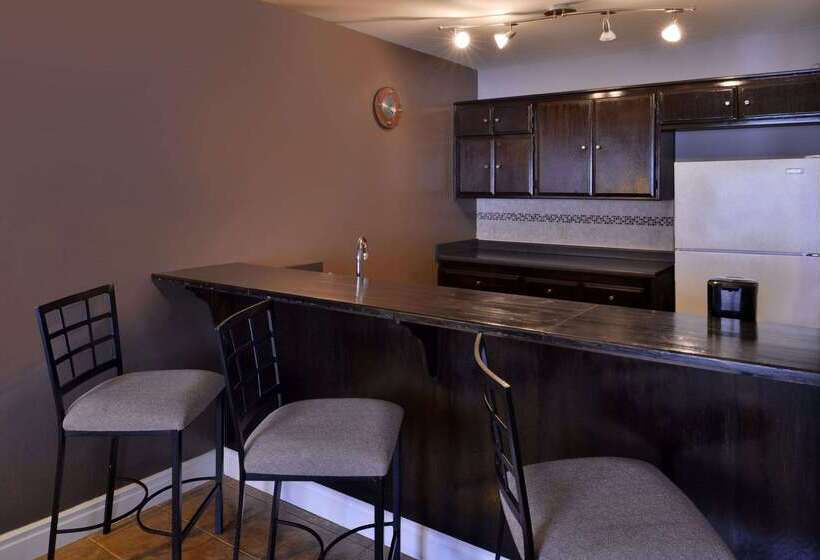 酒店 Signature Inn Indio I 10