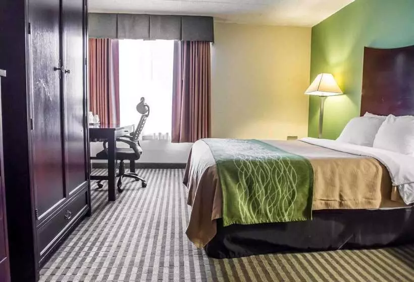 酒店 Quality Inn Mill Hall   Lamar