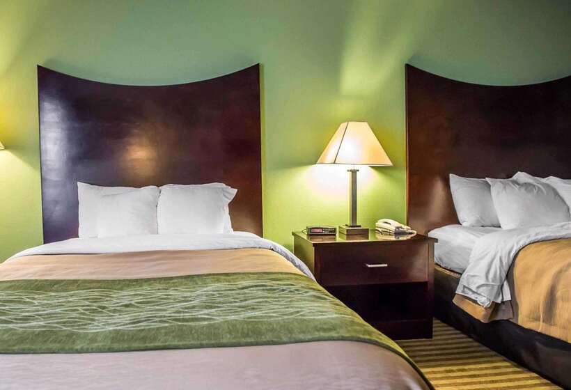 酒店 Quality Inn Mill Hall Lamar