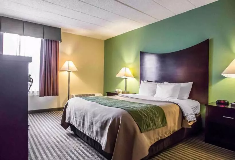 酒店 Quality Inn Mill Hall   Lamar