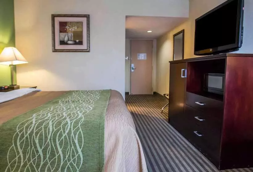 酒店 Quality Inn Mill Hall   Lamar