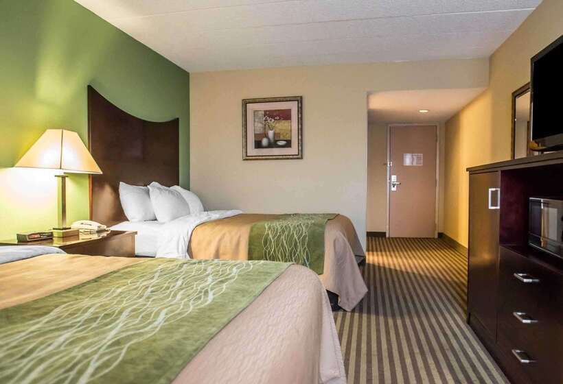 酒店 Quality Inn Mill Hall Lamar