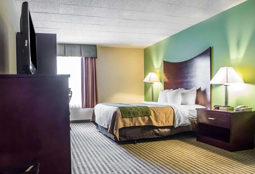 酒店 Quality Inn Mill Hall Lamar