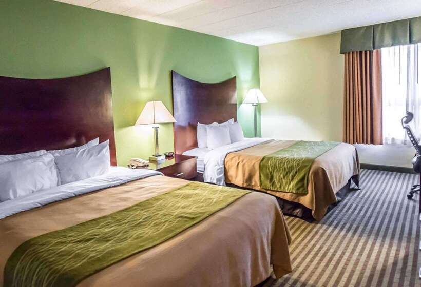 酒店 Quality Inn Mill Hall Lamar