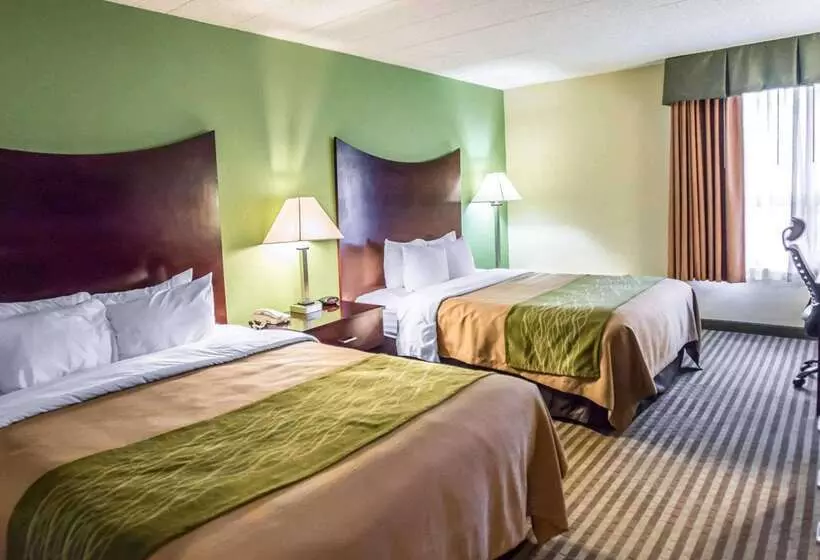 酒店 Quality Inn Mill Hall   Lamar