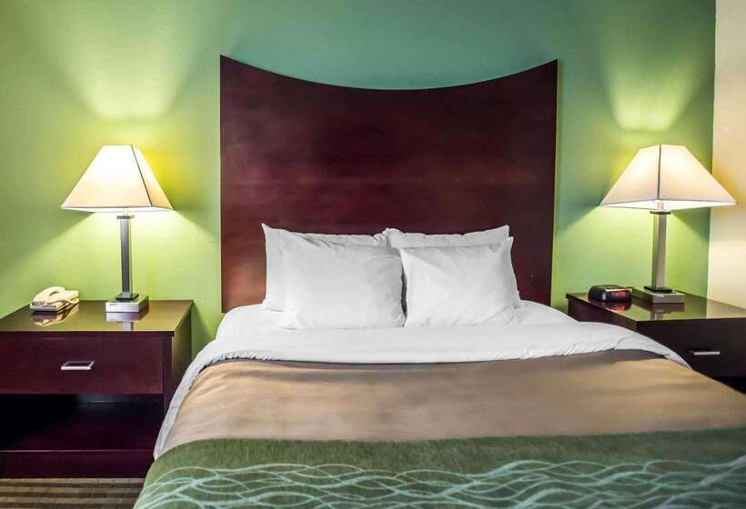 酒店 Quality Inn Mill Hall Lamar