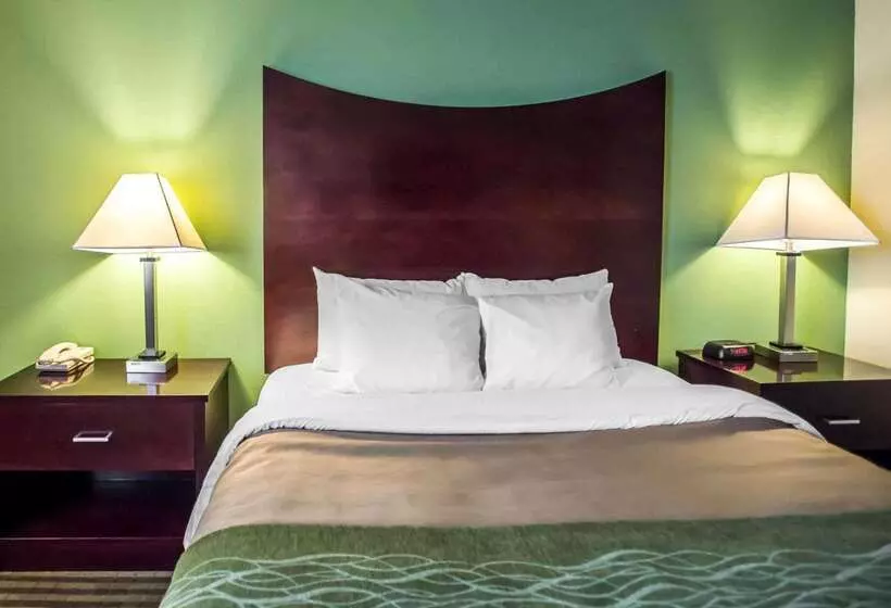 酒店 Quality Inn Mill Hall   Lamar