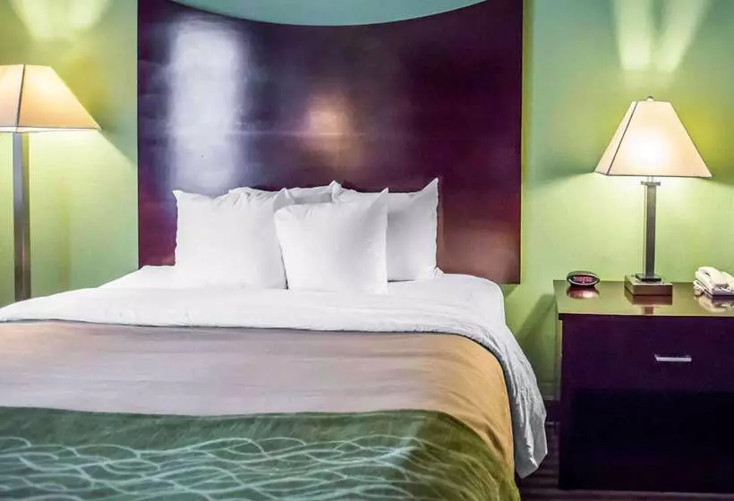 酒店 Quality Inn Mill Hall   Lamar