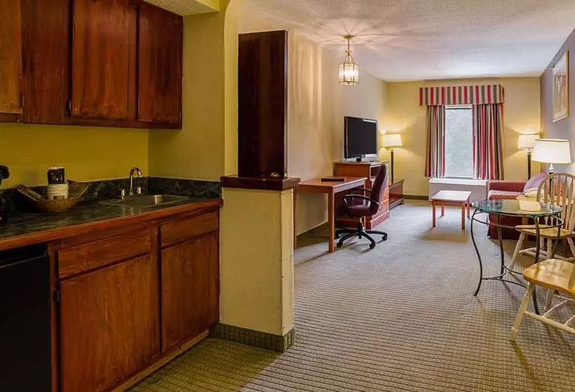 ホテル Quality Suites Altavista   Lynchburg South