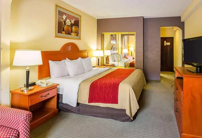 ホテル Quality Suites Altavista   Lynchburg South