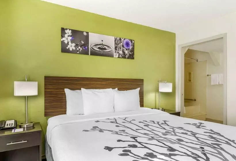 Отель Sleep Inn