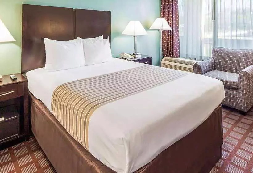 בית מלון כפרי Super 8 By Wyndham Meadowlands